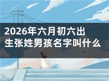 2026年六月初六出生张姓男孩名字叫什么