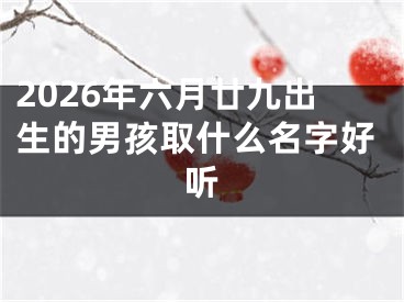 2026年六月廿九出生的男孩取什么名字好听