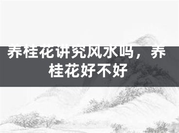 养桂花讲究风水吗，养桂花好不好