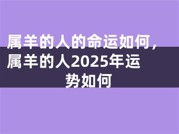 属羊的人的命运如何，属羊的人2025年运势如何