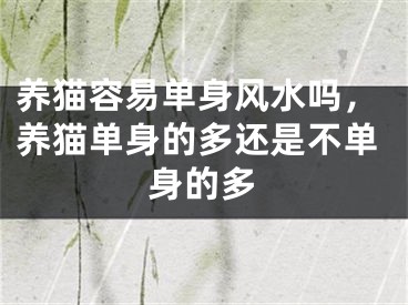 养猫容易单身风水吗,养猫单身的多还是不单身的多