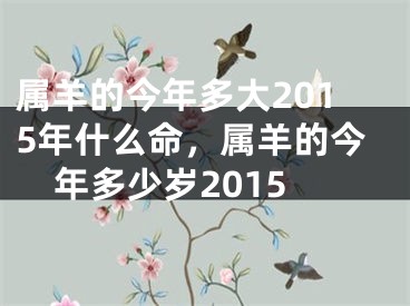 属羊的今年多大2015年什么命,属羊的今年多少岁2015