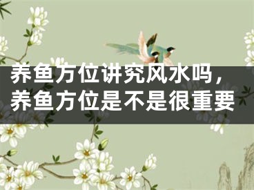 养鱼方位讲究风水吗，养鱼方位是不是很重要