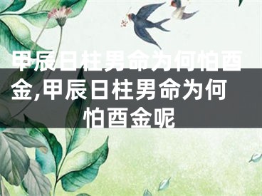 甲辰日柱男命为何怕酉金,甲辰日柱男命为何怕酉金呢