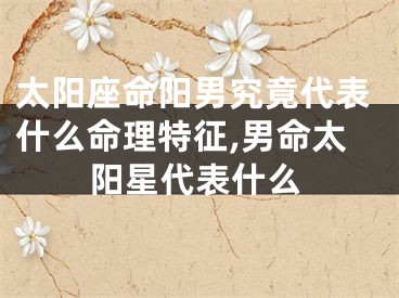 太阳座命阳男究竟代表什么命理特征,男命太阳星代表什么