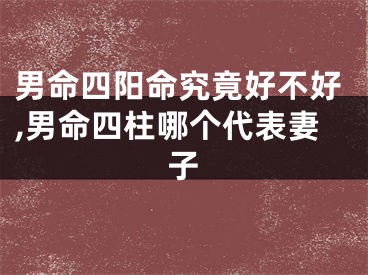 男命四阳命究竟好不好,男命四柱哪个代表妻子