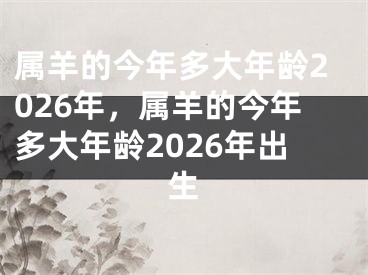 属羊的今年多大年龄2026年，属羊的今年多大年龄2026年出生