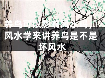 养鸟可以影响风水吗，风水学来讲养鸟是不是坏风水