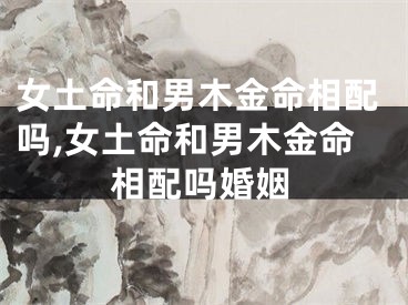 女土命和男木金命相配吗,女土命和男木金命相配吗婚姻