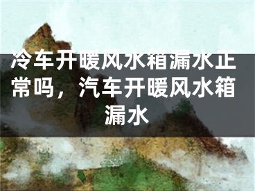 冷车开暖风水箱漏水正常吗，汽车开暖风水箱漏水