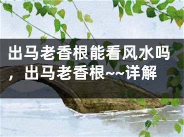 出马老香根能看风水吗，出马老香根~~详解