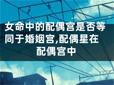 女命中的配偶宫是否等同于婚姻宫,配偶星在配偶宫中