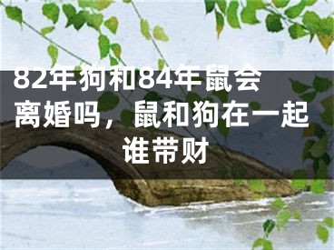 82年狗和84年鼠会离婚吗，鼠和狗在一起谁带财