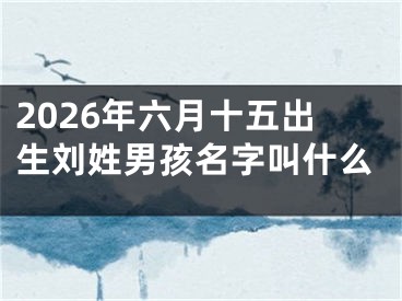 2026年六月十五出生刘姓男孩名字叫什么