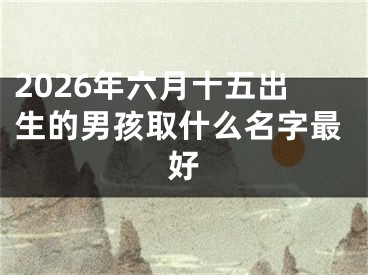 2026年六月十五出生的男孩取什么名字最好