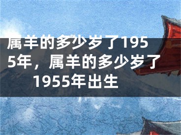 属羊的多少岁了1955年，属羊的多少岁了1955年出生