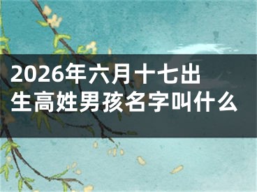 2026年六月十七出生高姓男孩名字叫什么