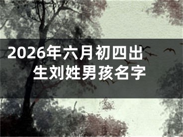 2026年六月初四出生刘姓男孩名字