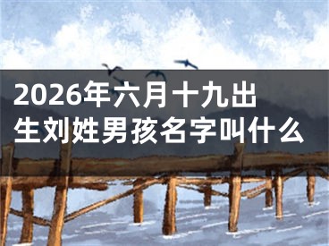 2026年六月十九出生刘姓男孩名字叫什么