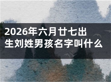 2026年六月廿七出生刘姓男孩名字叫什么