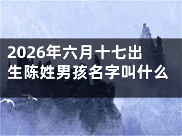 2026年六月十七出生陈姓男孩名字叫什么