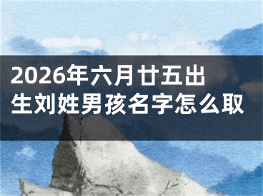 2026年六月廿五出生刘姓男孩名字怎么取