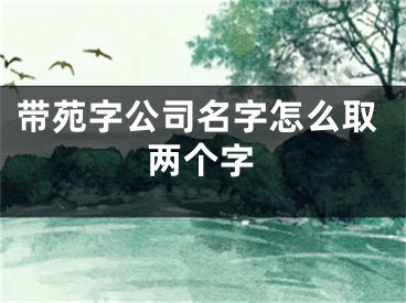 带苑字公司名字怎么取两个字
