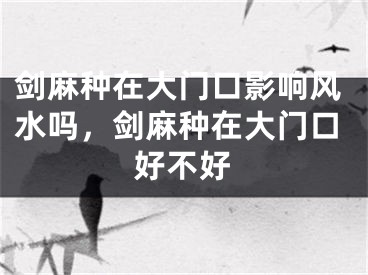 剑麻种在大门口影响风水吗，剑麻种在大门口好不好
