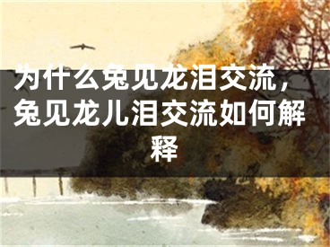 为什么兔见龙泪交流，兔见龙儿泪交流如何解释