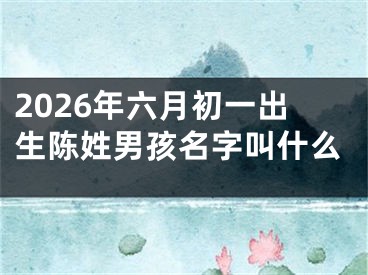 2026年六月初一出生陈姓男孩名字叫什么