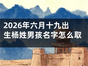 2026年六月十九出生杨姓男孩名字怎么取