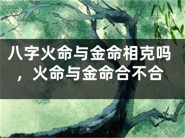 八字火命与金命相克吗,火命与金命合不合