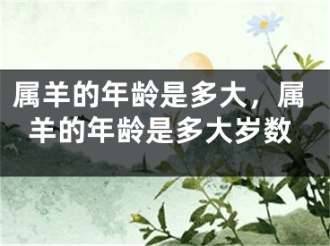 属羊的年龄是多大，属羊的年龄是多大岁数