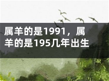 属羊的是1991，属羊的是195几年出生