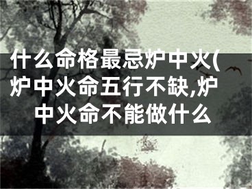 什么命格最忌炉中火(炉中火命五行不缺,炉中火命不能做什么