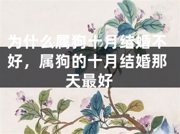 为什么属狗十月结婚不好,属狗的十月结婚那天最好