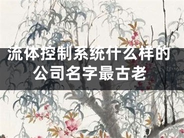 流体控制系统什么样的公司名字最古老