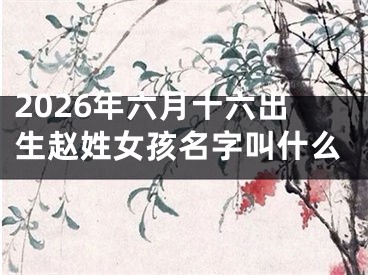 2026年六月十六出生赵姓女孩名字叫什么
