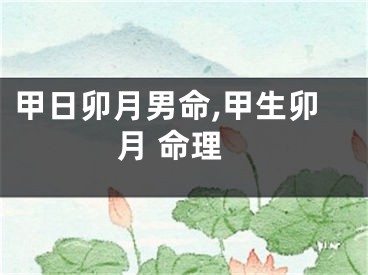 甲日卯月男命,甲生卯月 命理