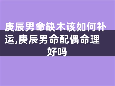 庚辰男命缺木该如何补运,庚辰男命配偶命理好吗