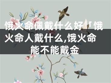 饿火命佩戴什么好「饿火命人戴什么,饿火命能不能戴金