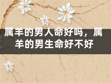 属羊的男人命好吗，属羊的男生命好不好