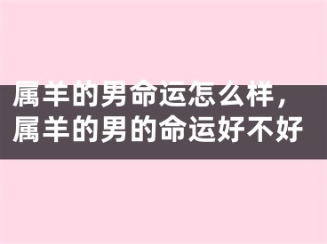 属羊的男命运怎么样，属羊的男的命运好不好