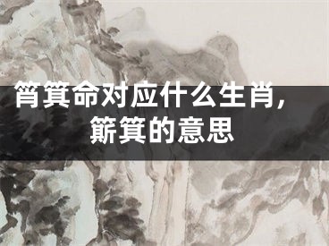 筲箕命对应什么生肖,簛箕的意思