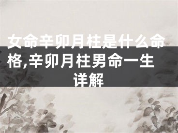 女命辛卯月柱是什么命格,辛卯月柱男命一生详解