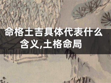 命格土吉具体代表什么含义,土格命局