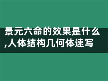 景元六命的效果是什么,人体结构几何体速写