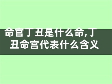命官丁丑是什么命,丁丑命宫代表什么含义