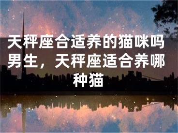 天秤座合适养的猫咪吗男生，天秤座适合养哪种猫