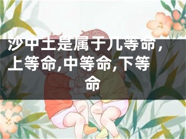 沙中土是属于几等命，上等命,中等命,下等命